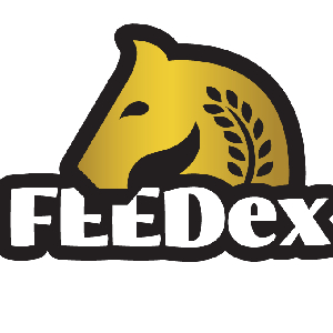 Suplementy dla konia na układ trawienny - Dostawca pasz i suplementów dla koni - Feedex